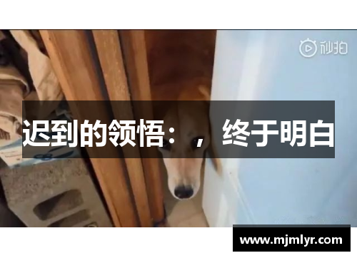 迟到的领悟：，终于明白